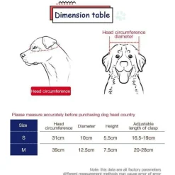 Decor Haustierzubehör-Reithelm für Haustiere – Stilvolle Sicherheitsausrüstung für Haustiere