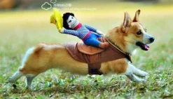 Decor Haustierzubehör-Reitpferd-Hundekostüm – Lustiges Haustier-Halloween-Outfit