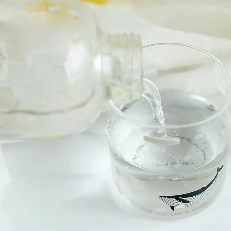 Feast u0026 Flair Küche & Esszimmer-Robbenwal-Wasserflasche mit Hülle – Kreatives Camping-Trinkgeschirr