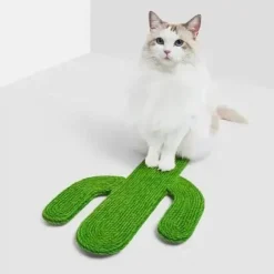 TailTrend Haustierspielzeug-Robustes Kratzbrett in Mandarine für spielerische Entspannung und gesunde Krallen