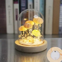 Glow u0026 Shade Beleuchtung-Seeigel-Nachtlicht – Einzigartige DIY-Heimdekoration