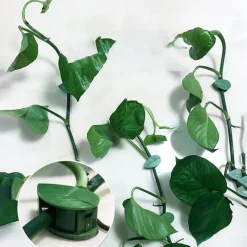 Comfort u0026 Style Gadgets Für Zuhause-Selbstklebende Haken in Blattform – 10er-Pack dekorative Organizer