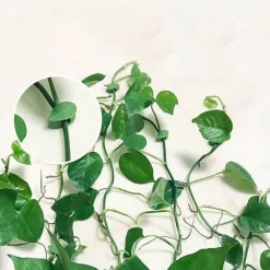 Comfort u0026 Style Gadgets Für Zuhause-Selbstklebende Haken in Blattform – 10er-Pack dekorative Organizer