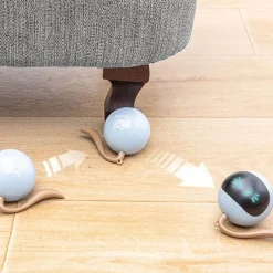 TailTrend Haustierzubehör|Haustierspielzeug-Selbstrotierendes Katzenspielzeug – Interaktives, rotierendes Haustierspielzeug