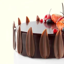 Tom Küche & Esszimmer-Silikon-Schokoladenform für kreative Kuchendekorationen – verschiedene lustige Formen