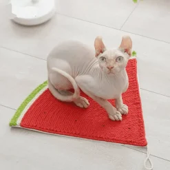 TailTrend Haustierspielzeug-Sisal-Katzenkratzbaum – Robustes Krallenbrett für gesunde Katzenkrallen