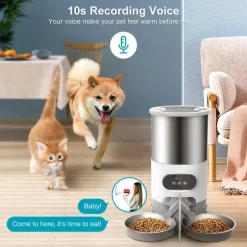 Furry Haven Haustierzubehör|Reinigungswerkzeuge Für Haustiere-Smart Pet Feeder - Automatischer 2-Wege-Mahlzeitenverteiler