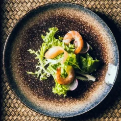 Elegance at the Table Küche & Esszimmer-Steakteller-Set aus Keramik – elegantes Serviertablett im Western-Stil für Mahlzeiten