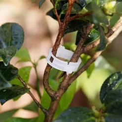 Trail u0026 Beyond Camping Im Freien|Outdoor-Artikel-Stützklammern für Gartenpflanzen – Sichere grüne Pfähle für das Pflanzenwachstum