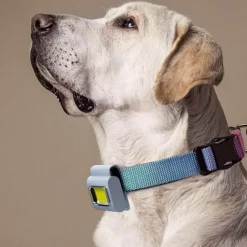 The Outdoor Vault Heimwerkzeuge|Outdoor & Garten-Tragbare Mini-Magnet-Gehlampe zum Anklipsen – kompaktes Taschenlicht