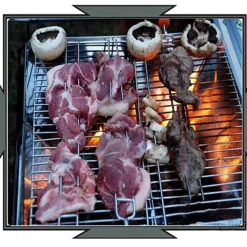 Trail u0026 Beyond Camping-Werkzeuge|Camping Im Freien-Tragbarer Minigrill – Faltbarer Reisegrill