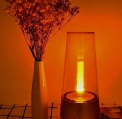 Trail u0026 Beyond Camping-Werkzeuge|Beleuchtung-Tragbarer Nachtlichtlautsprecher - Stimmungslampe