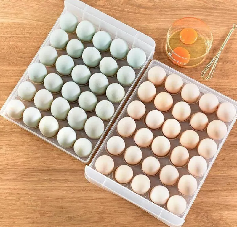 Space Savvy Küche & Esszimmer-Transparente Eierschublade – Kühlschrank-Organizer-Behälter für Eier