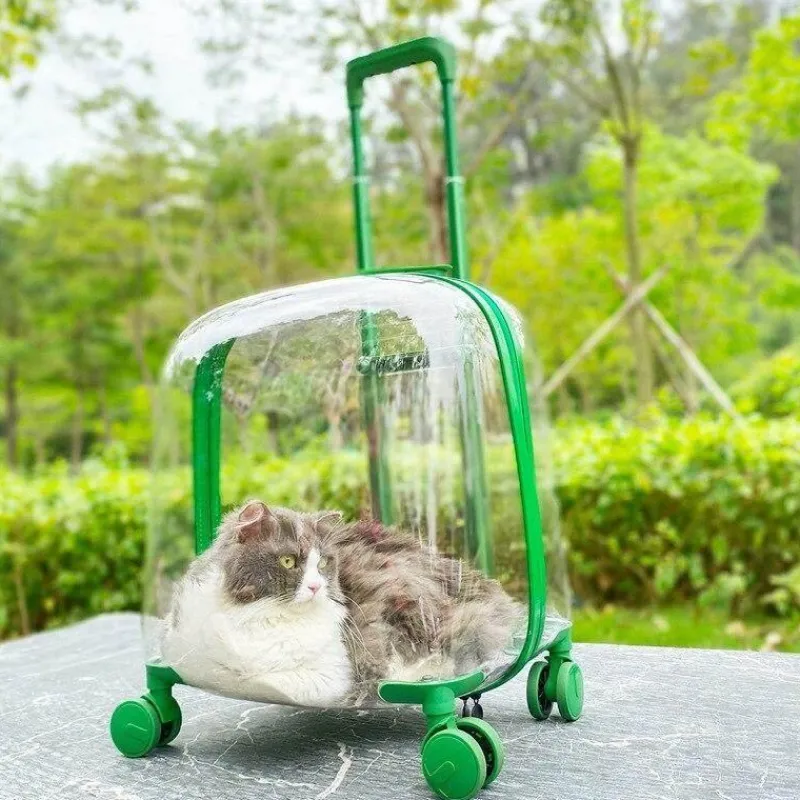 Furendo Haustierzubehör|Reinigungswerkzeuge Für Haustiere-Transparenter Haustiertransportwagen - Tragbare Reisekapsel für Haustiere
