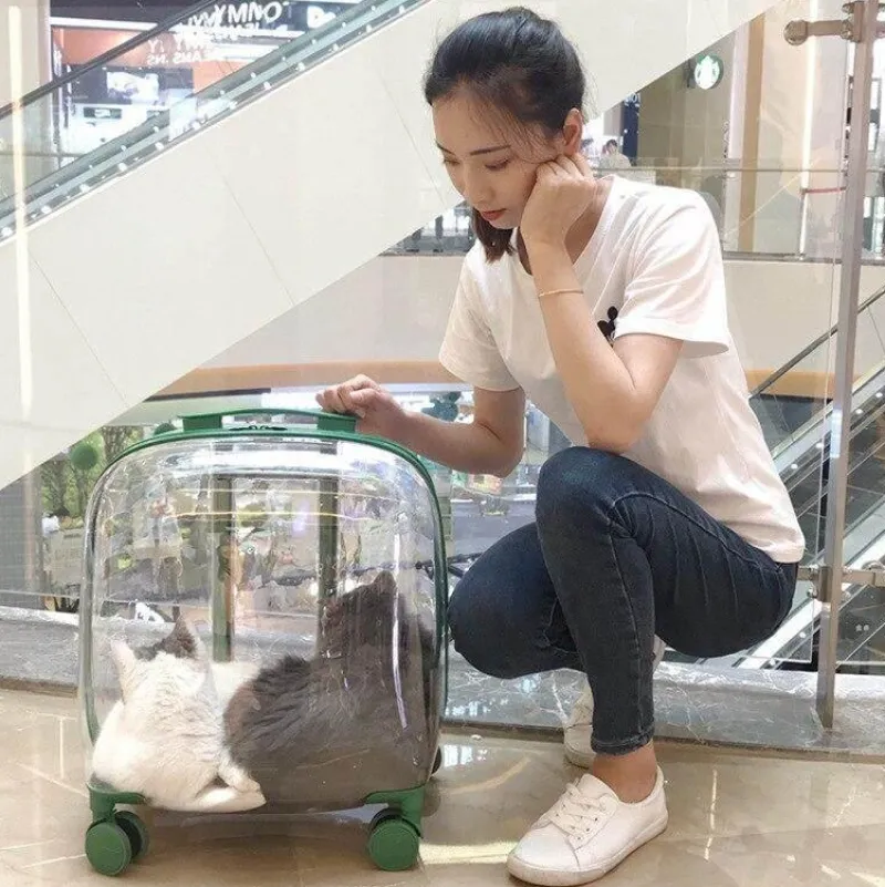 Furendo Haustierzubehör|Reinigungswerkzeuge Für Haustiere-Transparenter Haustiertransportwagen - Tragbare Reisekapsel für Haustiere