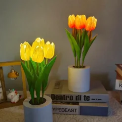 Bright Accents Beleuchtung-Tulpen-LED-Nachtlicht - Dekorative Simulationslampe