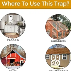 Gear Up u0026 Go Outdoor-Artikel|Outdoor-Gadgets-Umweltfreundliche, wiederverwendbare Mausefalle – Intelligente Lösung zur Nagetierbekämpfung