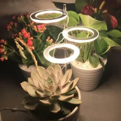 Comfort u0026 Style Beleuchtung-5V LED Plant Light - Indoor Grow Lamp for Gardening