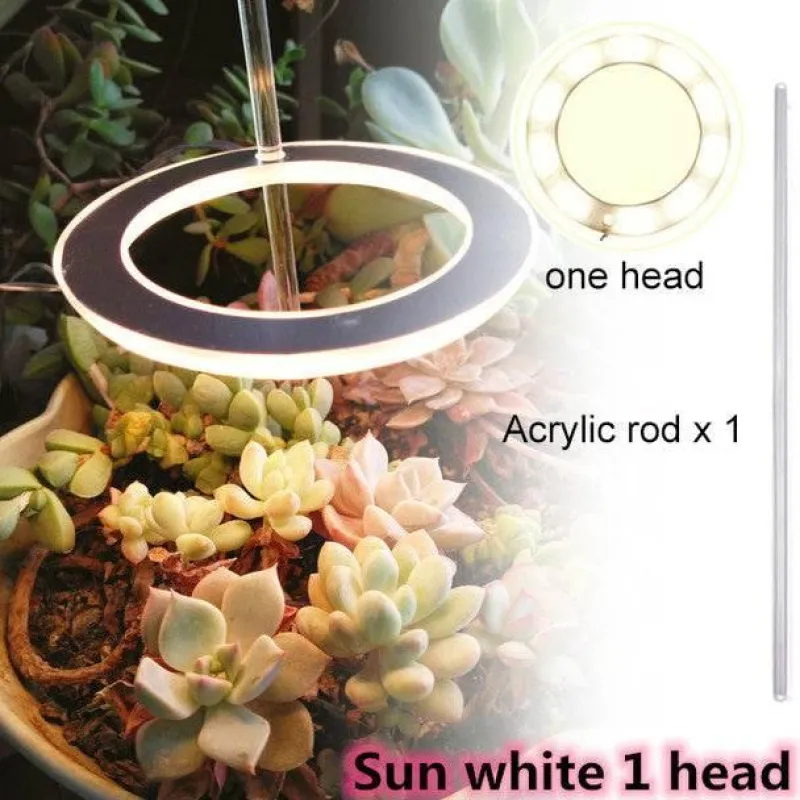 Comfort u0026 Style Beleuchtung-5V LED Plant Light - Indoor Grow Lamp for Gardening