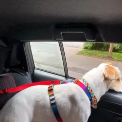 Furendo Autozubehör|Automobilindustrie-Verstellbarer Sicherheitsgurt für Hunde im Auto – Sicheres Sicherheitsgeschirr für Haustiere