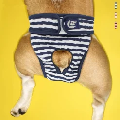 Furendo Haustierzubehör|Reinigungswerkzeuge Für Haustiere-Waschbare Hundewindel – Wiederverwendbare Trainingshilfe für Haustiere