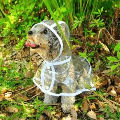 Decor Haustierzubehör-Wasserdichter Hunderegenmantel – Haustierjacke zum Schutz vor nassem Wetter