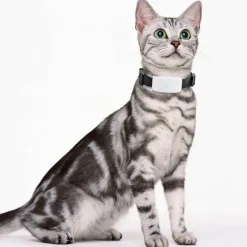 Decor Haustierzubehör-Wasserdichtes GPS-Tracker-Halsband für Haustiere – Standort-Tracker für Hunde und Katzen