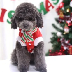 Decor Haustierzubehör-Weihnachtsmann-Hundekostüm – Feiertags-Haustier-Outfit