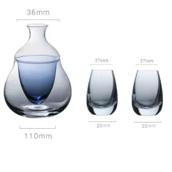 Plates u0026 More Küche & Esszimmer-Weinkaraffe aus Glas – Vielseitiger Whisky- und Sake-Spender