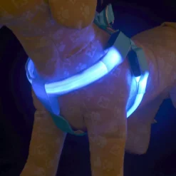 Decor Haustierzubehör-Wiederaufladbare LED-Hundeleine – Leuchtende Sicherheitsleine für Haustiere