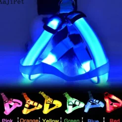 Decor Haustierzubehör-Wiederaufladbare LED-Hundeleine – Leuchtende Sicherheitsleine für Haustiere