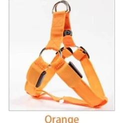 Decor Haustierzubehör-Wiederaufladbare LED-Hundeleine – Leuchtende Sicherheitsleine für Haustiere