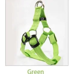 Decor Haustierzubehör-Wiederaufladbare LED-Hundeleine – Leuchtende Sicherheitsleine für Haustiere