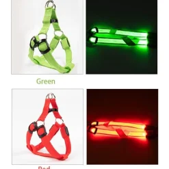 Decor Haustierzubehör-Wiederaufladbare LED-Hundeleine – Leuchtende Sicherheitsleine für Haustiere