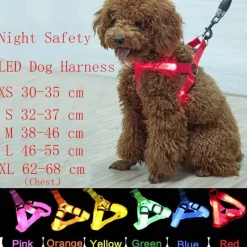 Decor Haustierzubehör-Wiederaufladbare LED-Hundeleine – Leuchtende Sicherheitsleine für Haustiere