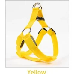 Decor Haustierzubehör-Wiederaufladbare LED-Hundeleine – Leuchtende Sicherheitsleine für Haustiere