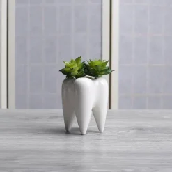 Accent Haven Wohndeko-Zahnförmiger Blumentopf aus Keramik – moderner weißer Übertopf