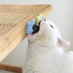 TailTrend Haustierspielzeug-Zahnpflege-Kauball mit Katzenminze – 360° drehbares Katzenspielzeug für gesunde Zähne