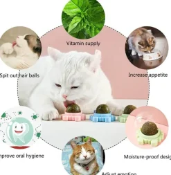 TailTrend Haustierspielzeug-Zahnpflege-Kauball mit Katzenminze – 360° drehbares Katzenspielzeug für gesunde Zähne