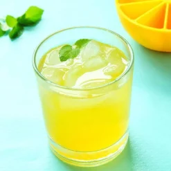 The Decor Haven Küche & Esszimmer-Zitronen-Eiswürfelform – 10-Mulden-Form für kreative Getränke