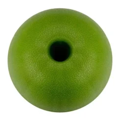 The Decor Haven Küche & Esszimmer-Zitronen-Eiswürfelform – 10-Mulden-Form für kreative Getränke